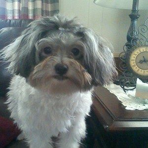 Meet your Posher, Barbara